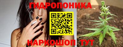 гидра Краснознаменск