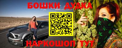 гидра Краснознаменск