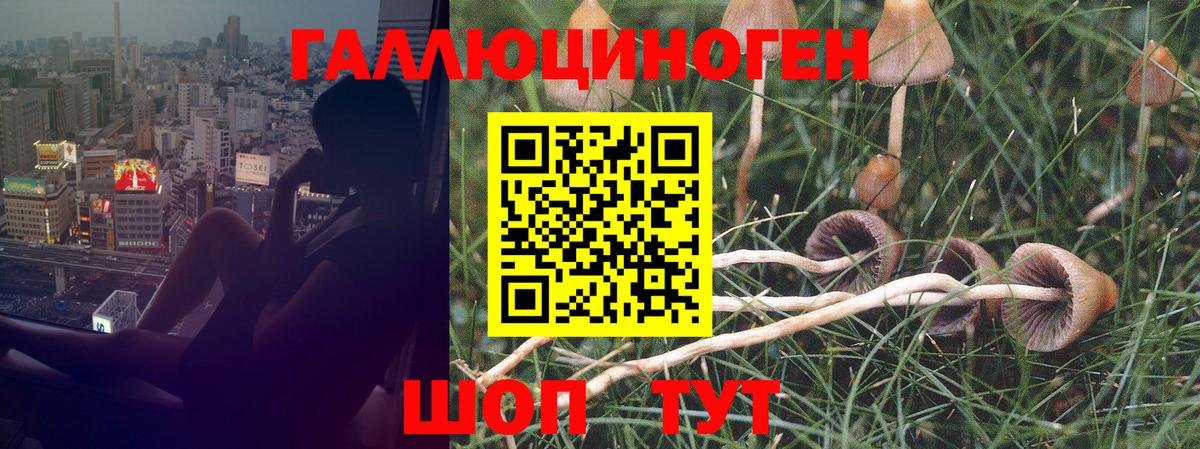 Ирбит  Псилоцибиновые грибы Magic Shrooms  Вход с VPN  Галлюциногенные грибы ЛСД 