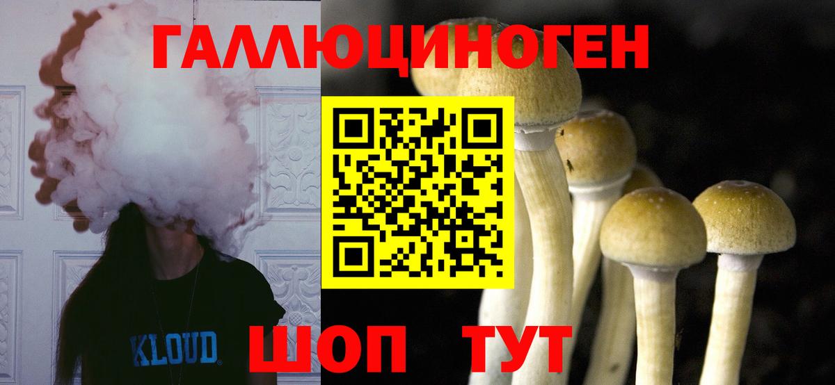 Псилоцибиновые грибы Magic Shrooms Ирбит
